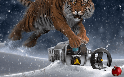 Merry Christmas and a Happy New Year!